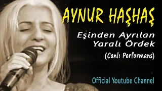 Aynur Haşhaş - Eşinden Ayrılan Yaralı Ördek (Canlı Performans)