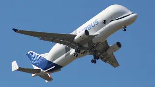 BelugaXL Flight Test || First A350 Wings Transportation || The Top Adventurer