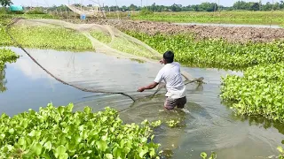 Amazing Net Fishing in River