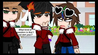 Stacy's brother [Heh Dnf/dreamnotfound*a little spicy* bad editing sorry^^]My School Au