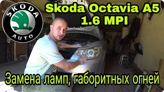 Замена лампочки габорита передних фар Skoda Octavia A5 1.6 MPI BSE