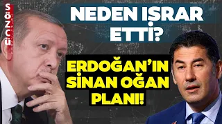 Erdoğan'ın Sinan Oğan Planını Tek Tek Anlattı! Gündem Olacak Yorum