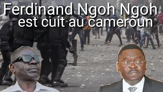 très très urgent: Amougou Belinga acuse Ferdinand Ngoh Ngoh de la M0r.t de Martinez Zogo