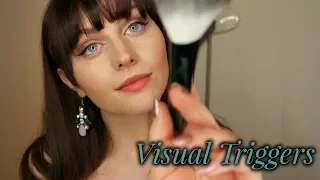 Visual Triggers For Sleep~ ASMR [Light, Brushing, Hand Movements]