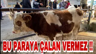 TÜRKİYE'NİN EN UCUZ HAYVAN PAZARI | MEŞHUR KIVIRCIK KOYUNLAR PAZARDA!!!