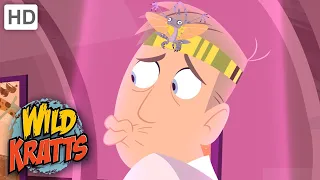 Wild Kratts | Flight of the Draco | Full Episode | Season 1