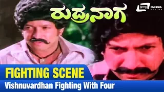 Furotious Fight | Rudra Naga | Vishnuvardhan | Fighting Scene