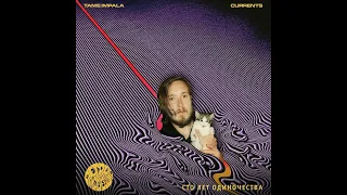 degenerat - Егор Летов / Tame Impala (оригинальное название)