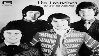 The Tremeloes "Here comes my baby" GR 032/20 (Official Video Cover)