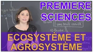 Ecosystème et agrosystème - Sciences 1ère ES/L - Les Bons Profs