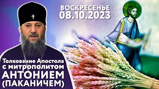 Воскресенье, 8 октября 2023 года. Толкование Апостола с митр. Антонием (Паканичем).