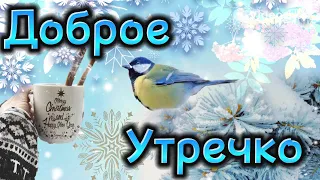 Желаю Самого Доброго Утра И Хорошего Дня😘Отличного Настроения И Позитива😊С Добрым Утречком ☕️