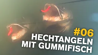 Hechtangeln mit Gummifisch 🐊 / neue Angelrute 🎣 / neue Sonderfarbe 🥰