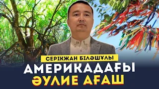 АМЕРИКАДАҒЫ "ӘУЛИЕ АҒАШ" / СЕРІКЖАН БІЛӘШҰЛЫ