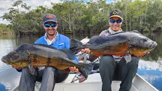 RIO PASIVA Y PASIMONI - VENEZUELA - Cristian Vanegas - @AfloatFishingColombia  Peacock Bass Fishing.