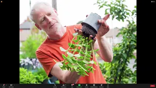 Container Gardening: How to Grow an Abundance of Herbs, Vegetables and Fruit in Small Spaces