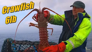 Three Crayfish In One Pot & Rod Fishing The Deeps Lobster Season 2024