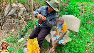 Grandpa takes YoYo Jr to catch fish in the field and cook | Full verson