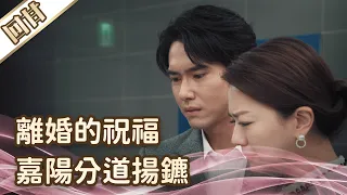 《好戲回甘》愛的榮耀 EP63 離婚的祝福  嘉陽分道揚鑣