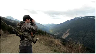 B.C. Black Bear Hunt 2024 - Part 1