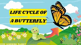 Life Cycle of A Butterfly 🦋 | From Caterpillar to Butterfly | Science for kids | Monarch Life Cycle