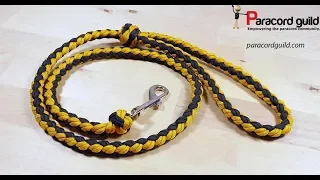 Lazy man's paracord dog leash