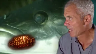 Jeremy Wade Scarred By Arapaima Attack | ARAPAIMA | River Monsters