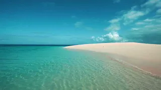 "Oasis de Calma: Relajación en la Playa para Desconectar"