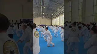 REAL AIKIDO POWER 🥋💪(Azerbaijan, 2023) #realaikido #selfdefense #iraf