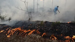 About 60 bushfires burn in NSW