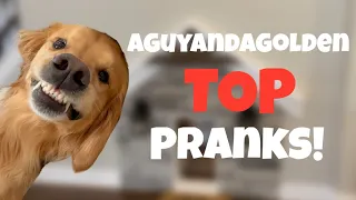 TOP 15 AGuyandAGolden VIRAL Pranks!