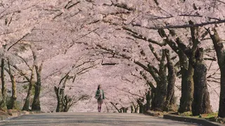 봄 산책 갈 때 필수로 들어야 하는 팝송들 🎧💖