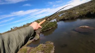 Close encounters in western lakes Tasmania