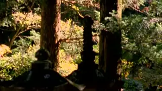 The Will of the Shogun (Documentary)