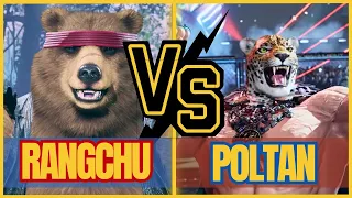 Tekken 8 - Rangchu(Kuma) vs Poltan (King) - High Level Match T8