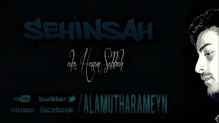 Şeinşah ft.Anıl piyancı&Emrah karakuyu - Hatalar Benim