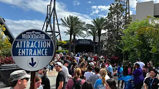 Spring Break at Universal Orlando | Poseidon's Fury Reopened | More Mardi Gras Fun | Park Updates!