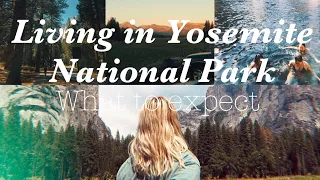 Working in Yosemite National Park-What to Expect (A tour of the living situation)