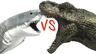 Long Battle 1vs1 ARBS｜Shark VS T-Rex  --  Animal Revolt Battle Simulator