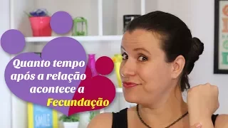 Quanto tempo após a relação ocorre a FECUNDAÇÃO?