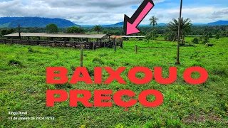 BAIXOU O PREÇO.  Fazenda de 66 alqueires na beira do rio xingu.  São Félix do xingu Pará