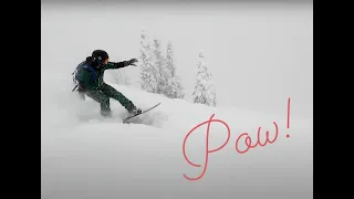 Powder Days - Grand Targhee and Jackson Hole