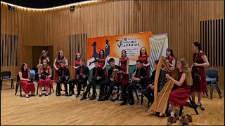 Culfadda U18 Grúpai Ceoil - Leinster Fleadh 8th July 2023