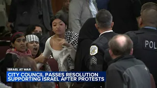 Resolution on Israel passes city council after chambers cleared during debate