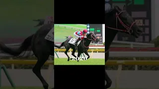 Horse racing throughout the years