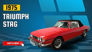 TRIUMPH STAG - HUD836N