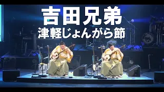 吉田兄弟 「津軽じょんがら節」 ライブ映像