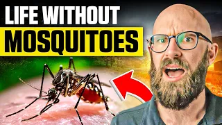 Could we Eliminate Mosquitos and What Would Happen?