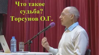 Что такое судьба? Торсунов О.Г.