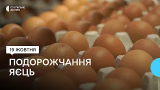 Ціна на яйця зросла більше ніж вдвічі: чи знизився попит